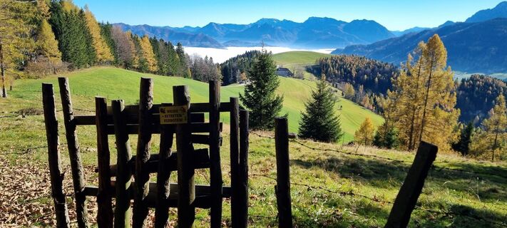 Foto von Gabi G entlang der Tour