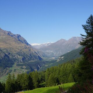 Karte