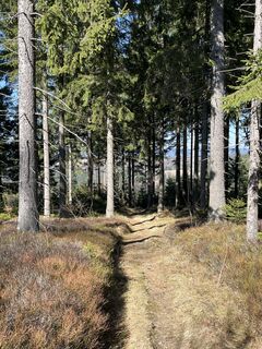 Foto von Alfred Weber entlang der Tour