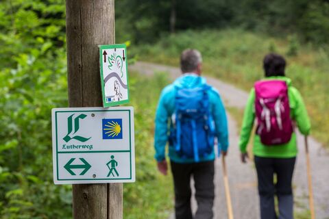 Unterwegs auf dem Lutherweg durch die Dübener Heide