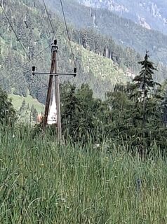 Foto von Raimund Aigner entlang der Tour