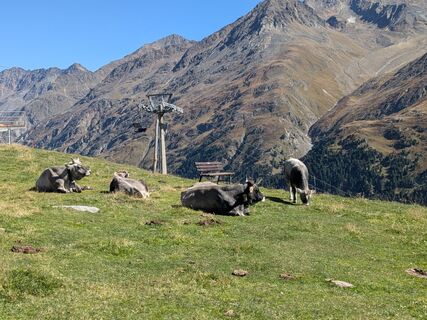 Photo de Sabrina Hackel le long du parcours