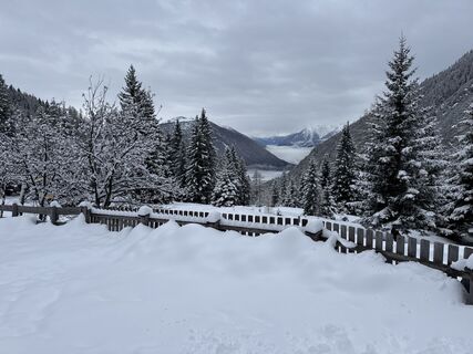 Photo de Grizzli le long du parcours