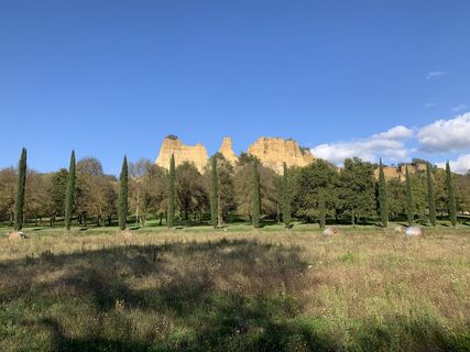 Foto da Andrea Morotti lungo il tour
