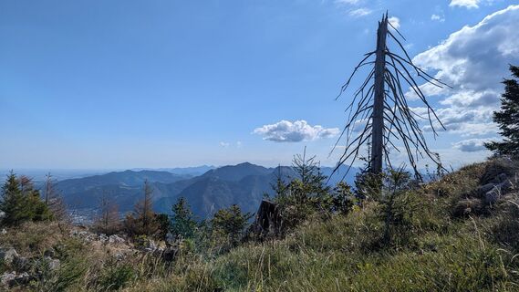Fotografija s spletne strani Ziegler Em1304 na poti