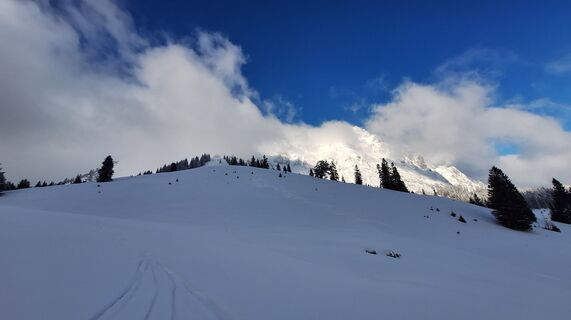 Fotografija s spletne strani Regina Fleischmann na poti
