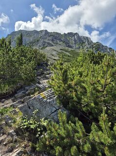 Fotó a Natalia Nortje honlapról a túra során