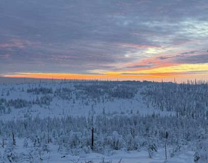Foto von Natur_erleben_dg entlang der Tour