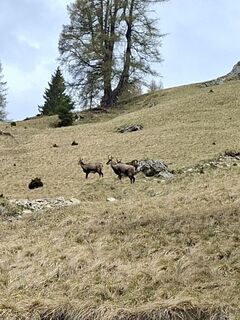 Photo de gottie le long du parcours