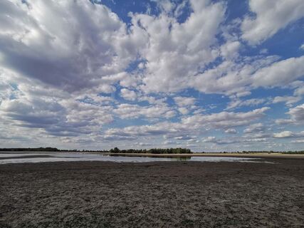 Absetzteich Berghalde Schacht Konrad