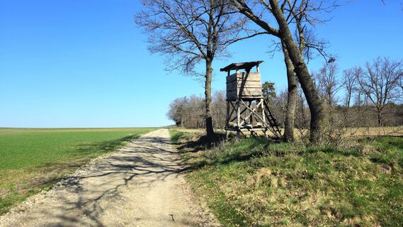 Hochstand