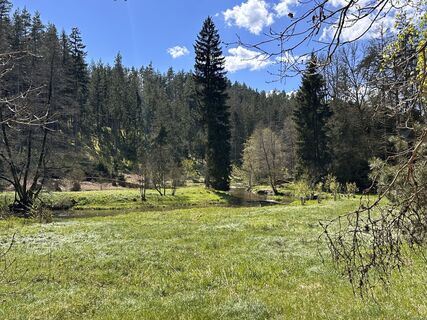 Foto de Norbert Herbig a lo largo del recorrido