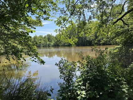 Mühlenteich in Meyenburg