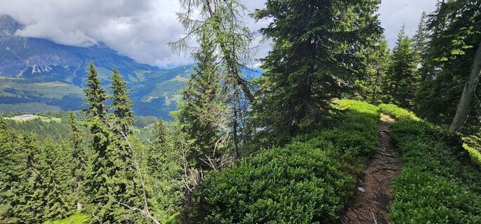 Fotografija s spletne strani Michael Ganswind na poti