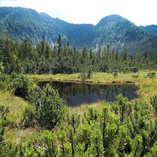 Panoramatour am Hochmoor Leckermoos