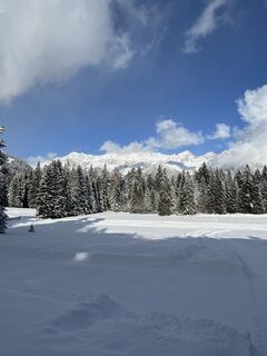 Fotografija s spletne strani constantin hoffmann na poti