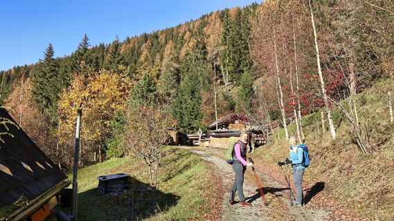 Herbststimmung am Weg