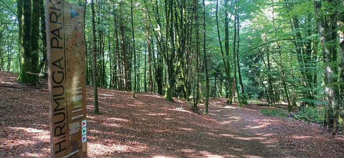 Auf dem letzten Teil der Strecke können wir eine der Abfahrten des Hirumuga Parks genießen.