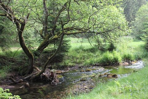 Wandern entlang der Valme