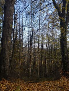 Fotografie de la Meszaros Marianna de-a lungul turului