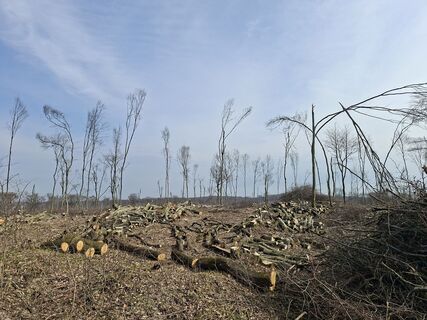 Zdjęcie z Henriette Mussger wzdłuż trasy