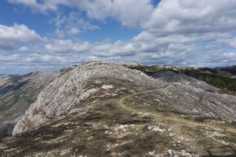 Babina glava on the high plateau of Lovcén National Park