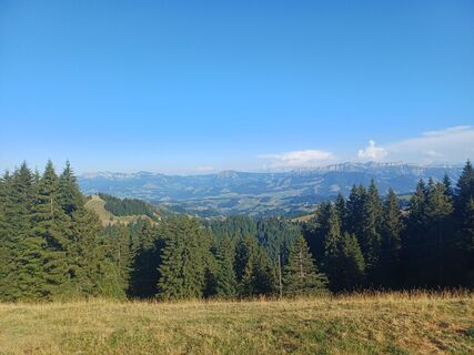 Foto von Jasi entlang der Tour