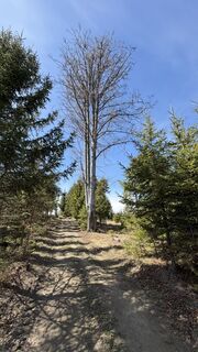 Foto von Zsolt Kozsla entlang der Tour