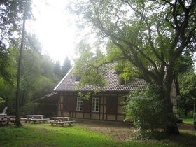 Grünes Klassenzimmer Meerdorfer Holz