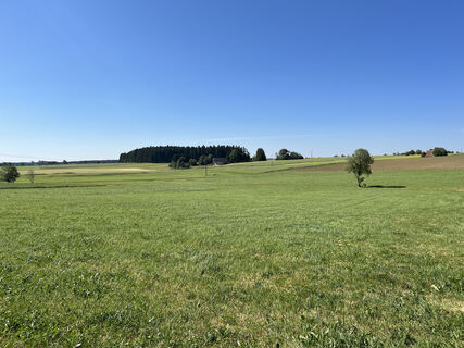Eschachwanderweg bei Aichhalden
