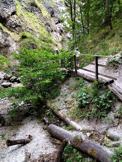 Foto von Margit Leitner 1 entlang der Tour