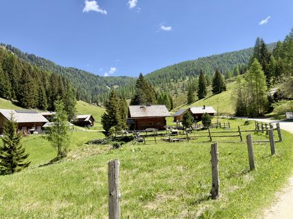 Fotografija s spletne strani firebird 93 na poti