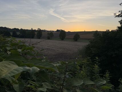 Fotografie z Schaali na trase