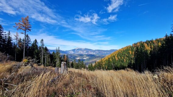 Foto von EP87 entlang der Tour