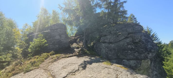 Foto von Sonja Enzenhofer entlang der Tour