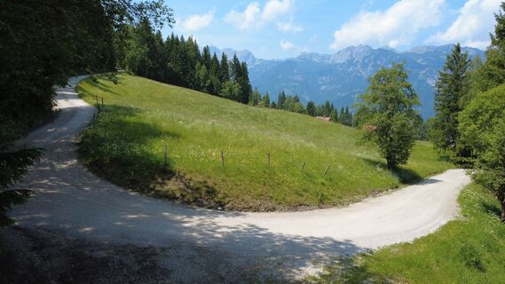 Aich Runde Forstweg