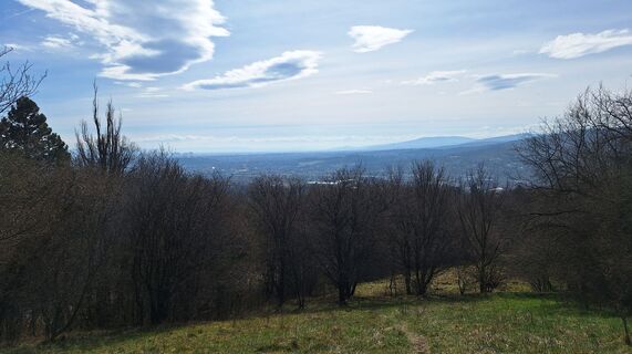 Fotografija s spletne strani Regina Fleischmann na poti