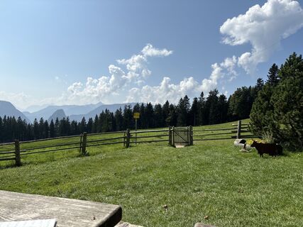 Foto de Heinz Sperl a lo largo del recorrido
