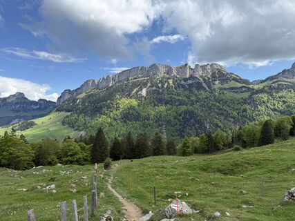 Foto från Daniel Herz under resans gång