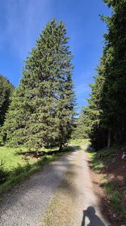 Photo de BarbischNicole le long du parcours