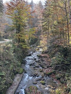 Anger_Stoisseralm
