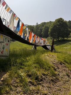 Foto von Fabio Rossini entlang der Tour