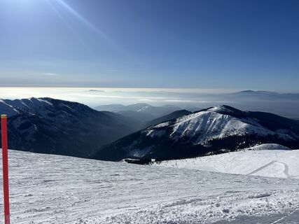 Foto von Daniel 118 entlang der Tour