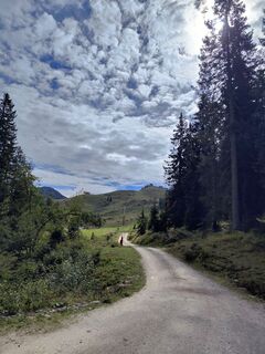 Foto de Gerhard S. a lo largo del recorrido