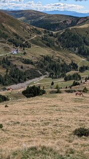 Foto de Brian Koster a lo largo del recorrido