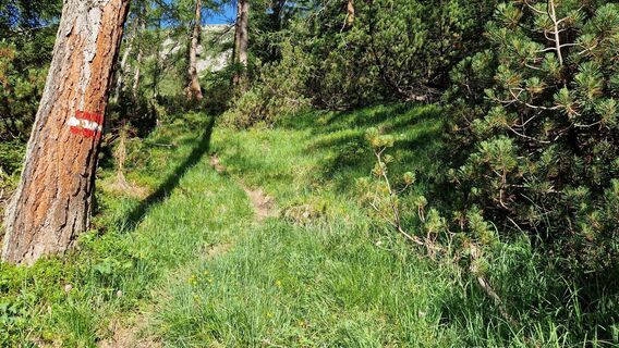 Aufstiegsweg zum Sacktal Richtung Alblitjöchl