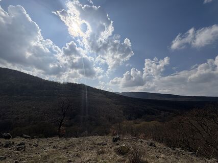 Foto von Wanda M-V entlang der Tour
