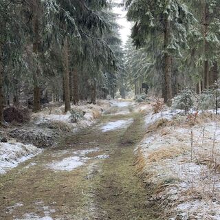 Foto von Steffen Kiesel entlang der Tour