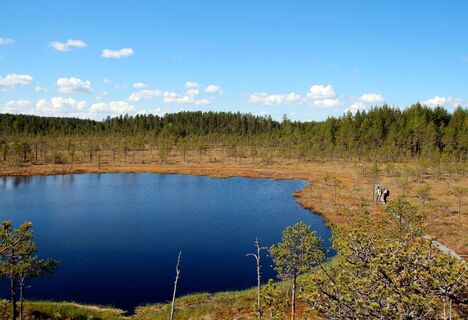Aussicht vom Naturbeobachtungsturm der Kirveslampi-Runde