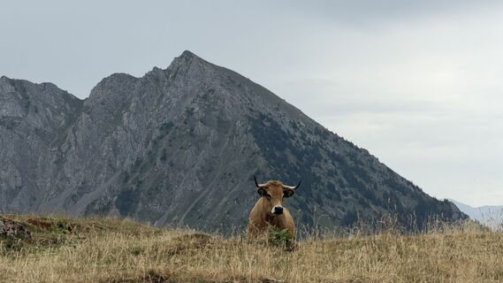Fotografie z Jordi Duran Batidor na trase